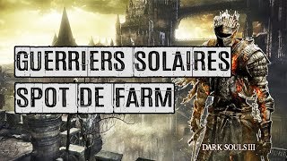 29 ► Serment  Guerriers solaires ● DARK SOULS 3 ● GUIDE PLATINE FR [upl. by Atiker]