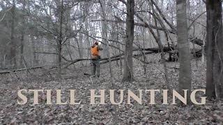 Tips for Still Hunting Whitetail Deer  TN Public Land [upl. by Silverman428]