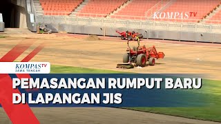 Rumput JIS Diganti Total dengan Standar FIFA Gunakan Rumput Jenis Zoysia Matrella [upl. by Cioffred]