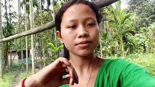 gwbao ni unao dinnwi fisa vlog video labwbai ngthang mwn❣️👍 [upl. by Heloise]