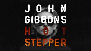 John Gibbons  Hotstepper [upl. by Bunow]