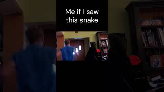 I hate snakes [upl. by Eberhart955]