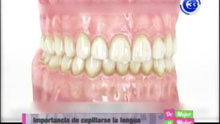 IMPORTANCIA DE CEPILLARSE LOS DIENTES [upl. by Enoek973]