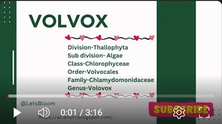 General characters of Volvox in Hindi for BSc Msc and Biology exams with easy notes biologyexams [upl. by Kelsy]