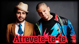 Calle 13  Atrévete  House Remix [upl. by Ecnarwal]