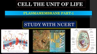 PLASMA MEMBRANE  INTRODUCTIONPART1 11th BIOLOGY NEET neet biology ncert neetexam [upl. by Enomal]