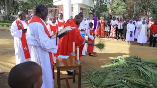 NYIMBO TAMU ZA SIKU YA MATAWI \\ PALM SUNDAY SONGS [upl. by Kathleen]