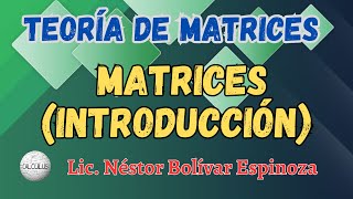 TEORÍA DE MATRICES INTRODUCCIÓN [upl. by Jelene10]