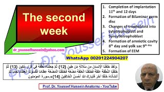 4 The 2nd week  Bilaminar germ disc  Chorionic vesicle  Yolk sac Amnion [upl. by Yht]