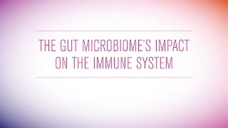 The Gut Microbiomes Impact on The Immune System [upl. by Ellehsar]