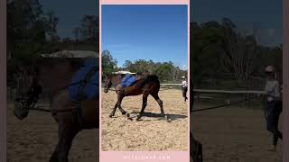 Lunging Demonstration  With amp Without The Kula Lunge [upl. by Wallach175]