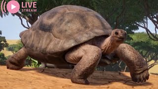 Aldabra Giant Tortoise  Planet Zoo [upl. by Eldnar438]