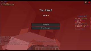 killing tpa trappers part 3 donutsmp gaming [upl. by Ahsekyw]