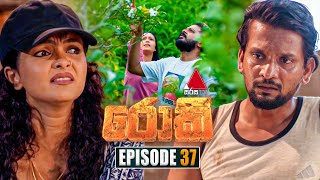 Rocky රොකී  Episode 37  01st October 2024  Sirasa TV [upl. by Leiva]