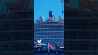 Cruise ship 🛳️ Doha Port 🇶🇦meinschiff msc cruiseship dohaport dohacity visitqatar shorts [upl. by Ettennahs]