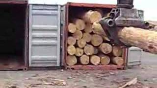 Pine Logs container loading [upl. by Alfredo]