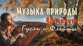 Красивая музыка природы слушать 45 минут 🌿 Русские гусли amp Флейты Музыка для сна и отдыха [upl. by Oznecniv158]