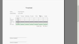 MS Access Timesheet Application [upl. by Elum]