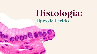 Histologia  Tipos de Tecido Aula 06 Curso Limpeza de Pele [upl. by Nanam]