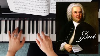 Gavotte in D by J S Bach [upl. by Rossner]