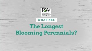 What are the Longest Blooming Perennials [upl. by Euqinaj772]