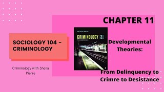 LECTURE Chapter 11  Developmental Theories From Delinquency to Crime to Desistance [upl. by Lowe]