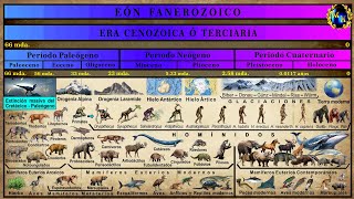 Las Eras Geológicas 5 La Era Cenozoica [upl. by Hellah]