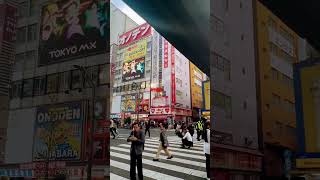 Akihabara 📍 shorts shortsvideo akihabara [upl. by Gennie]