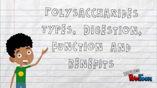 polysaccharides class activity [upl. by Civ218]