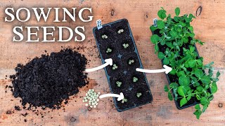 The NoNonsense Seed Sowing Guide For Vegetable Gardeners [upl. by Island]