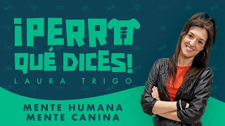 ¡PERRO QUÉ DICES Mente humana mente canina  Dial Podcast [upl. by Elexa]