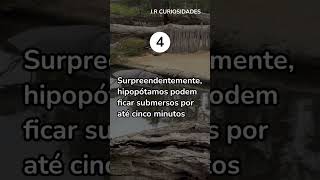 5 Fatos Fascinantes sobre Hipopótamos que Você Precisa Saber [upl. by Edahsalof]