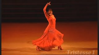 Amazing Flamenco [upl. by Lucie493]