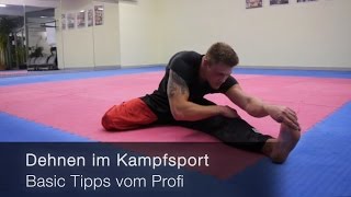 Dehnen im Kampfsport  Basic Tipps vom Profi [upl. by Haynor]