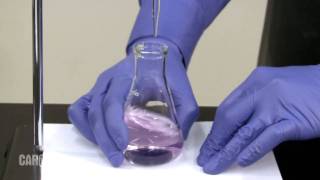 Setting up and Performing a Titration [upl. by Benenson183]