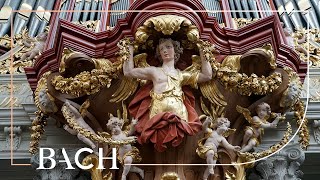 Bach  Ach Gott und Herr BWV 714  Jacobs  Netherlands Bach Society [upl. by Williams]