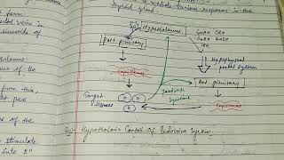 Hypothalmohypophyseal portal system hypothalamus alkaranigupta8791 zoologynotes zoology [upl. by Zannini]