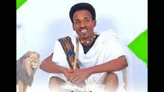 NewEthiopiaRayanMusicAbebeBerihunHarfeአበበበሪሁንአባጉራያ ሀርፈ [upl. by Linneman342]