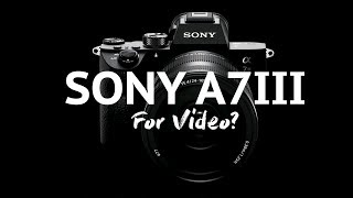 Sony A7iii for Video  Why Im getting it [upl. by Moran]