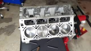 LS1 Engine Assembly Installing Pistons and Rings [upl. by Ellessig]