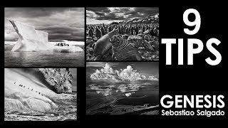 9 Photography Tips I Learned from Sebastiao Salgado Genesis Book [upl. by Yrtsed672]