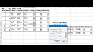 Filtrarea avansata in Excel [upl. by Aivek]