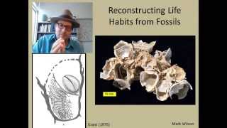 How can fossils reveal what the ancient marine environment was like [upl. by Archibold]