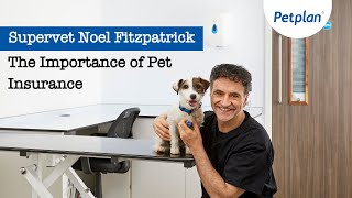 Petplan and Supervet Noel Fitzpatrick On The Importance of Pet Insurance [upl. by Norvun]