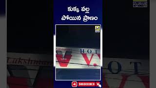 కుక్క వల్ల మూ డో ఫ్లోర్ నుంచి దూ  కి  Chanda Nagar Hyderabad  Swatantra Tv [upl. by Maxi]