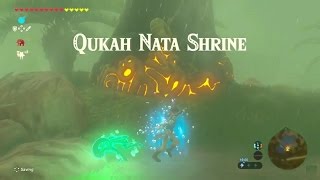 Zelda Breath of the Wild  Qukah Nata Shrine  Faron Tower Region [upl. by Vinnie]