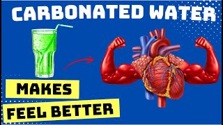 Why CARBONATED WATER Makes You FEEL BETTER [upl. by Sualkcin]