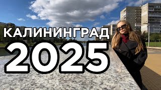 Калининград 2025 скандалы интриги расследования [upl. by Yekcaj204]