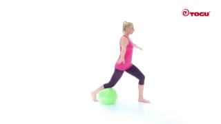 Ganzkörpertraining mit dem Redondo Ball Plus Exercise 1 [upl. by Aisetal]