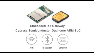 The xPico 250 Embedded IoT Gateway [upl. by Barr]